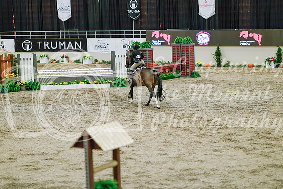 2025 - Haylee - Royal West - Monday October 20th - 05503