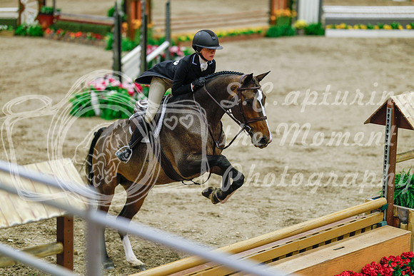 2025 - Haylee - Royal West - Monday October 20th - 05511