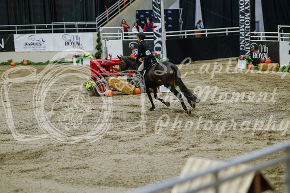 2025 - Haylee - Royal West - Monday October 20th - 06231