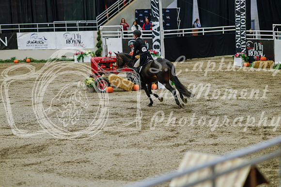 2025 - Haylee - Royal West - Monday October 20th - 06232