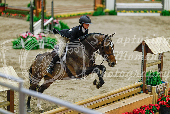 2025 - Haylee - Royal West - Monday October 20th - 05515