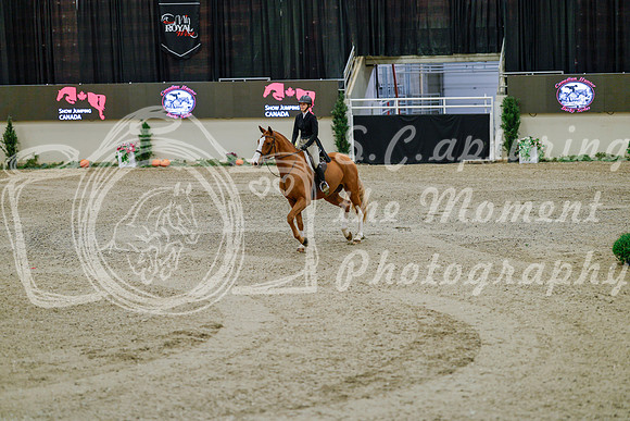 2025 - Haylee - Royal West - Monday October 20th - 05599