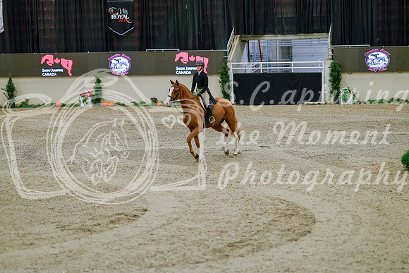 2025 - Haylee - Royal West - Monday October 20th - 05600