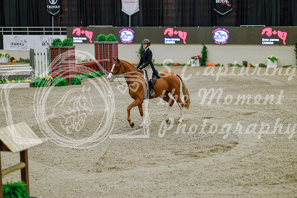 2025 - Haylee - Royal West - Monday October 20th - 05603