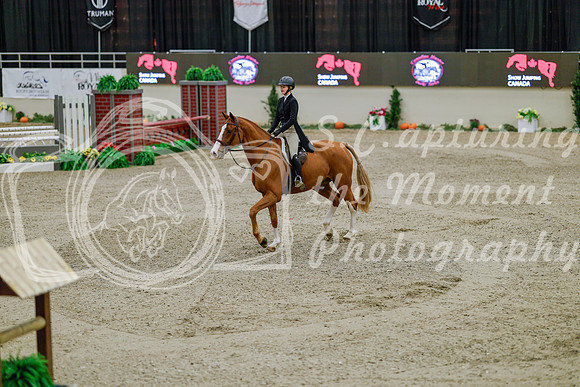 2025 - Haylee - Royal West - Monday October 20th - 05602