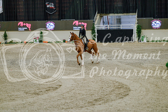 2025 - Haylee - Royal West - Monday October 20th - 05601
