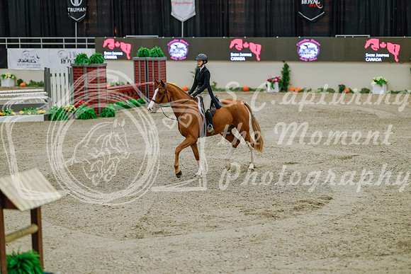2025 - Haylee - Royal West - Monday October 20th - 05604