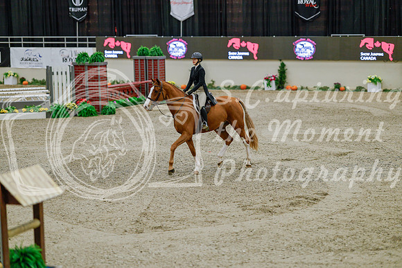 2025 - Haylee - Royal West - Monday October 20th - 05605