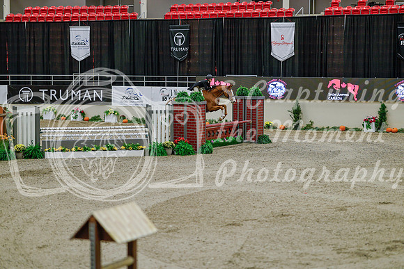 2025 - Haylee - Royal West - Monday October 20th - 05608