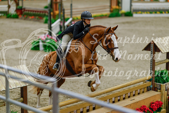 2025 - Haylee - Royal West - Monday October 20th - 05622
