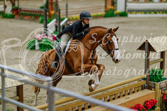 2025 - Haylee - Royal West - Monday October 20th - 05623