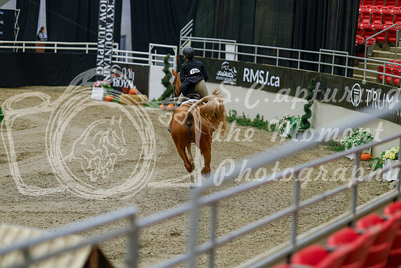2025 - Haylee - Royal West - Monday October 20th - 05628