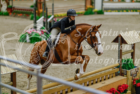 2025 - Haylee - Royal West - Monday October 20th - 05624