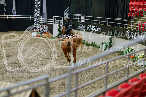 2025 - Haylee - Royal West - Monday October 20th - 05629