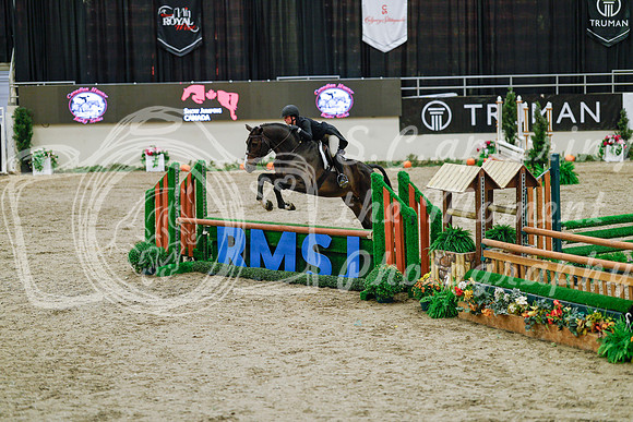 2025 - Haylee - Royal West - Monday October 20th - 04583