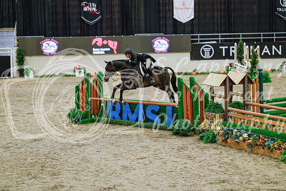 2025 - Haylee - Royal West - Monday October 20th - 04587