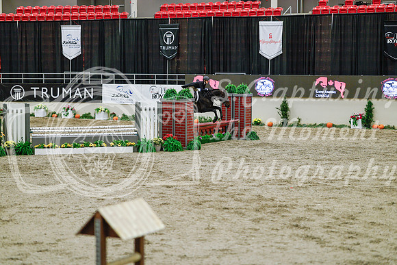 2025 - Haylee - Royal West - Monday October 20th - 05327