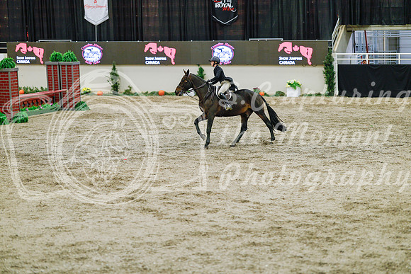 2025 - Haylee - Royal West - Monday October 20th - 05354