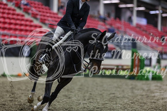 2025 - Shea - Royal West - Tuesday October 21st - 00228