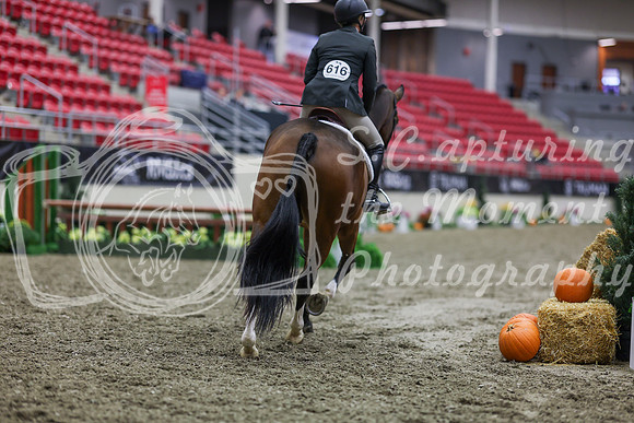 2025 - Shea - Royal West - Tuesday October 21st - 00037