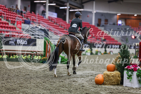 2025 - Shea - Royal West - Tuesday October 21st - 00039