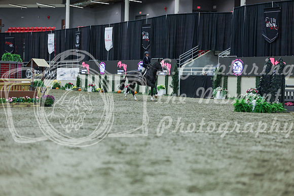 2025 - Shea - Royal West - Tuesday October 21st - 03356
