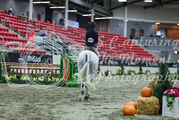2025 - Shea - Royal West - Tuesday October 21st - 03040