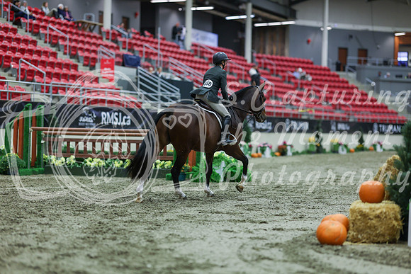 2025 - Shea - Royal West - Tuesday October 21st - 03232