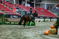 2025 - Shea - Royal West - Tuesday October 21st - 03233