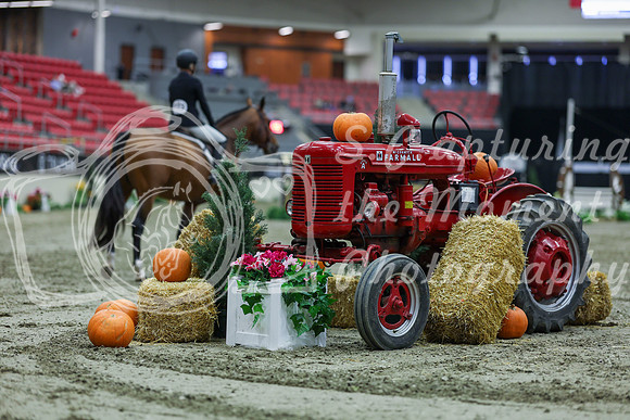 2025 - Shea - Royal West - Tuesday October 21st - 03395