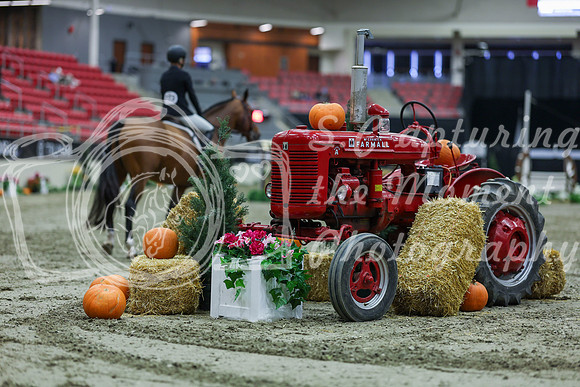 2025 - Shea - Royal West - Tuesday October 21st - 03396