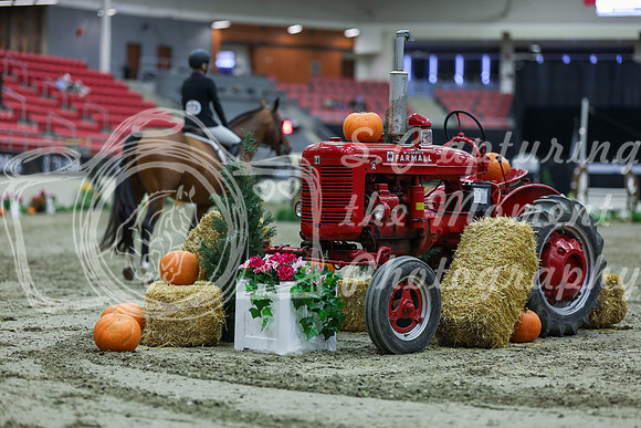2025 - Shea - Royal West - Tuesday October 21st - 03397