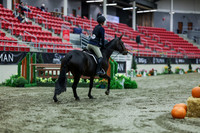 2025 - Shea - Royal West - Tuesday October 21st - 03016