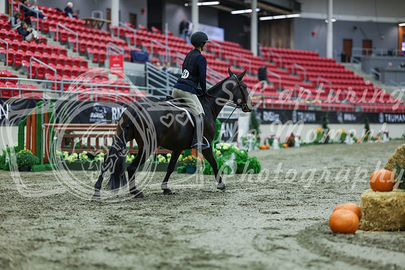 2025 - Shea - Royal West - Tuesday October 21st - 03018
