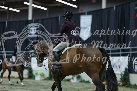 2025 - Shea - Royal West - Tuesday October 21st - 02610