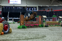 2025 - Shea - Royal West - Tuesday October 21st - 02216