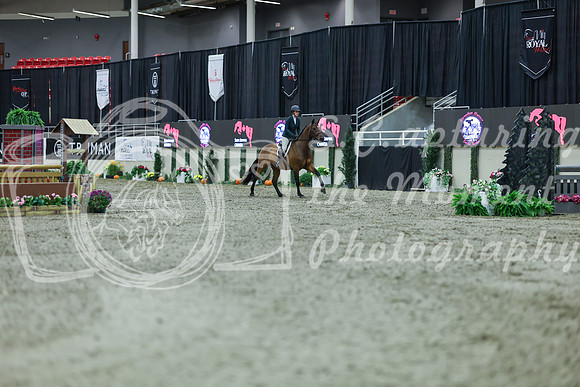 2025 - Shea - Royal West - Tuesday October 21st - 02238