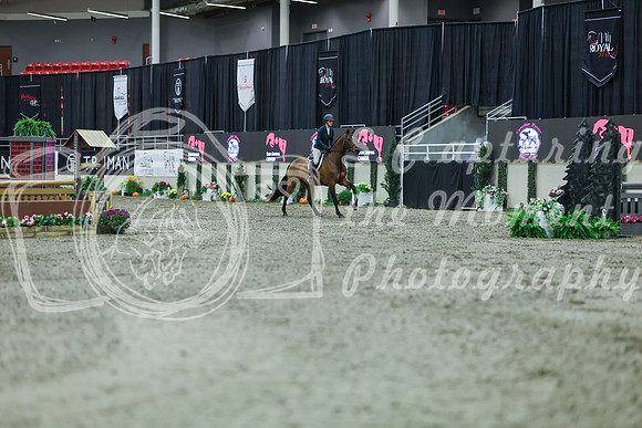 2025 - Shea - Royal West - Tuesday October 21st - 02237