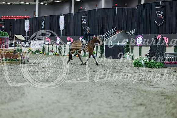 2025 - Shea - Royal West - Tuesday October 21st - 02248