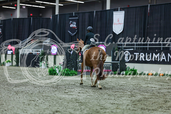 2025 - Shea - Royal West - Tuesday October 21st - 02412