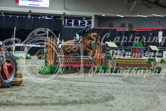 2025 - Shea - Royal West - Tuesday October 21st - 02419