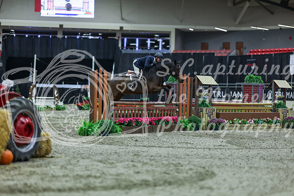 2025 - Shea - Royal West - Tuesday October 21st - 02782