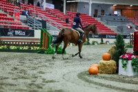 2025 - Shea - Royal West - Tuesday October 21st - 02337