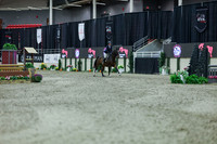 2025 - Shea - Royal West - Tuesday October 21st - 02119