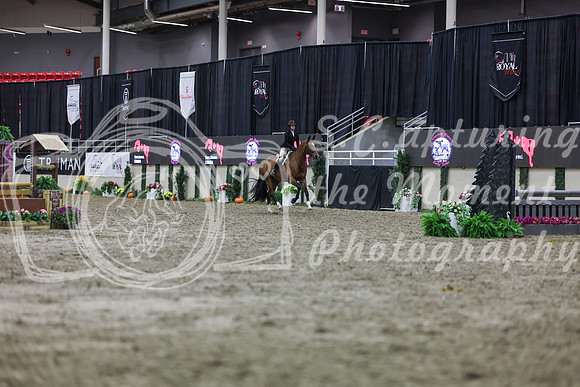 2025 - Shea - Royal West - Tuesday October 21st - 01136