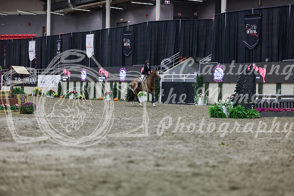 2025 - Shea - Royal West - Tuesday October 21st - 01138