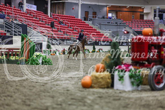 2025 - Shea - Royal West - Tuesday October 21st - 01170