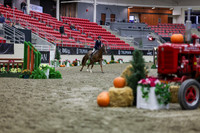 2025 - Shea - Royal West - Tuesday October 21st - 01171