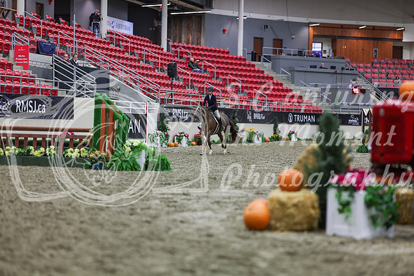2025 - Shea - Royal West - Tuesday October 21st - 01187