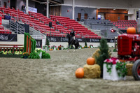 2025 - Shea - Royal West - Tuesday October 21st - 01244